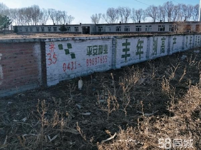 梅里斯三面有树，一面主道，土地使用房产证都齐全，可以过户。白酒厂房图1