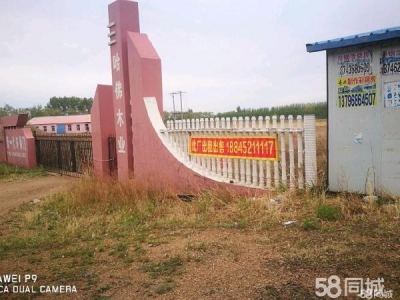 甘南400平方米塑料厂房，有一个门卫室图1