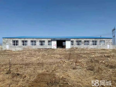 富裕总面积1万平，粮食加工厂房750平，住宅350平。图1