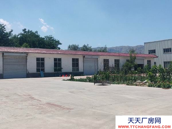 石嘴山市大武口加工厂房  有大型变压器，有办公楼，有仓库，可分租