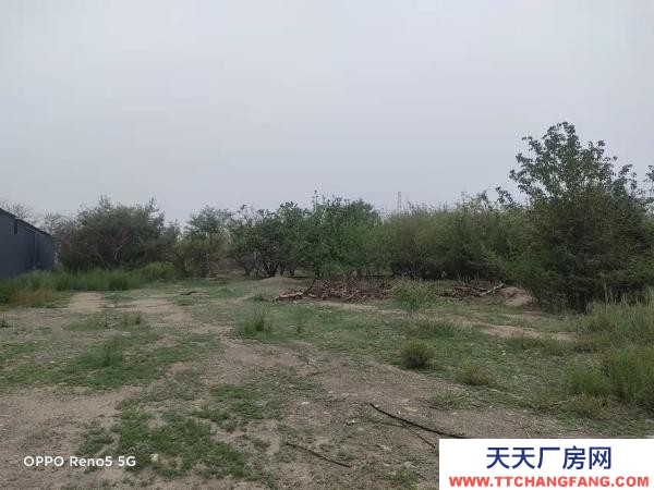 石嘴山市大武口茶叶厂房  城北果园18亩，厂房1200平米