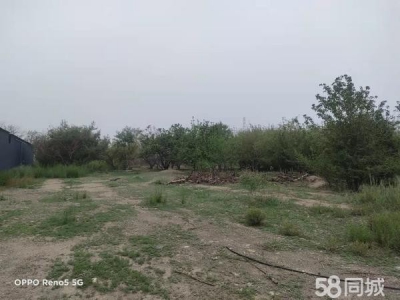 石嘴山市大武口茶叶厂房  城北果园18亩，厂房1200平米图1