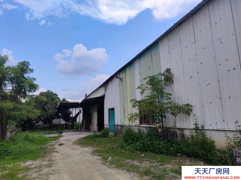 (出租) 潮州饶平新装修铁皮厂房，一楼2000平方和800平2个厂