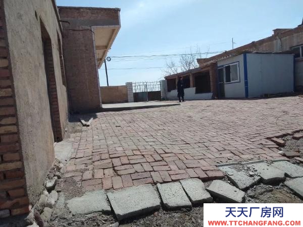 石嘴山市惠农养殖场出租（适合养猪、养、牛）