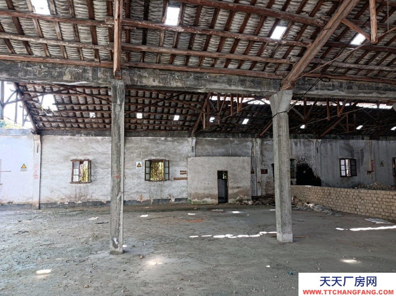(出租) 新丰高速口斜对面（往新丰方向600米）物流仓储