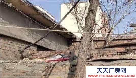 石嘴山市惠农机加工厂房 惠农南街街道宽窄巷子市中心平房便宜出租