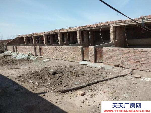 石嘴山市惠农养殖场  出租养殖场，有意者联系
