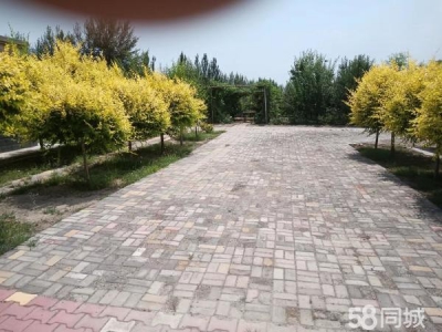 石嘴山市惠农机加工厂房 自己的产业，手续齐全，价格可谈出租出售均可谈图2