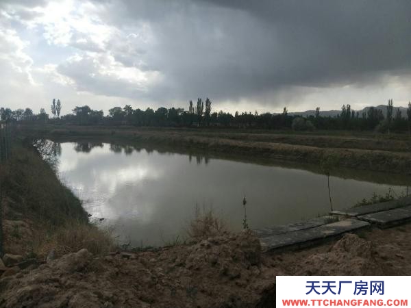 石嘴山市惠农物资仓库  尾闸镇中心路 仓库 2间