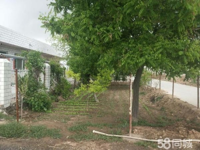 石嘴山市惠农物资仓库  尾闸镇中心路 仓库 2间图3