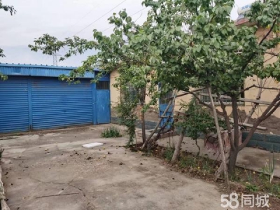 石嘴山市平罗机加工厂房 平罗县农牧场有库房及住房二合一图3