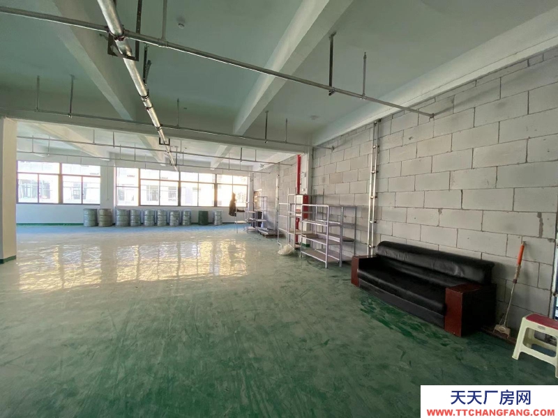 衢州市常山(出租) 精装修标准厂房，可以分割出租