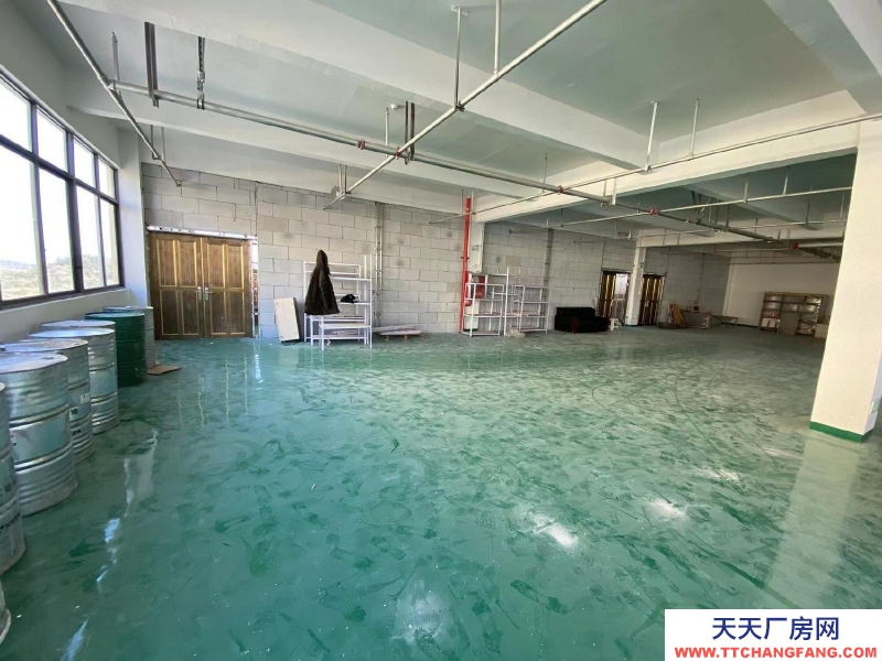 衢州市常山(出租) 精装修标准厂房，可以分割出租