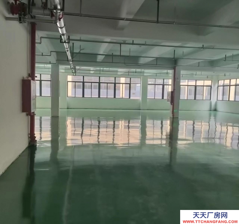 衢州市常山(出租) 常山万洋丛创城二楼一个楼层