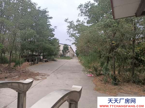 中卫市沙坡头物资仓库 出租沙坡头旅游购物广场