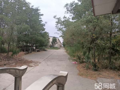 中卫市沙坡头物资仓库 出租沙坡头旅游购物广场图2