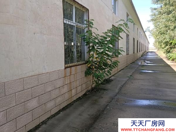 中卫市沙坡头物资仓库 有100到5000平方米多套