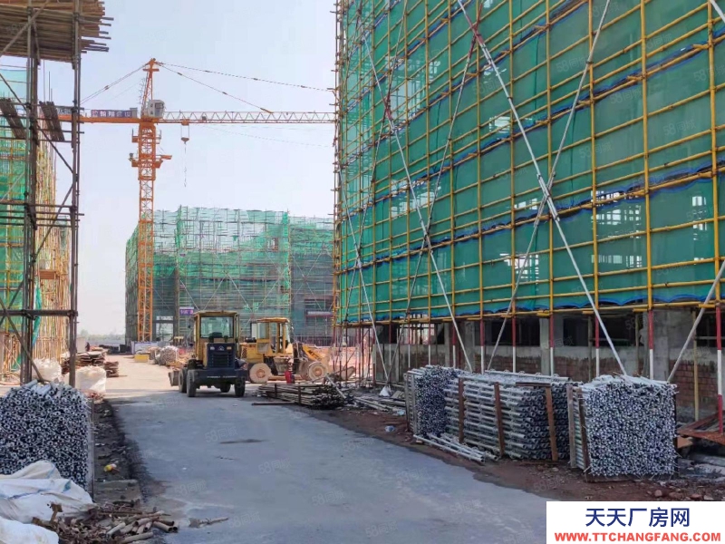 衢州市常山(出售) 红本厂房，50年产权，两证齐全