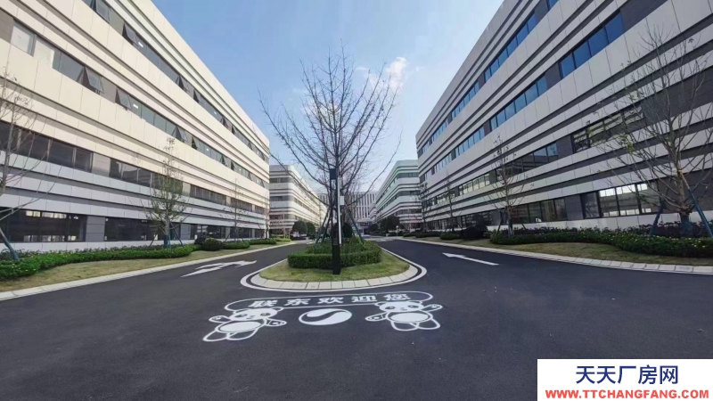 天府新区厂房！新机场高速口！可租可售！800平起