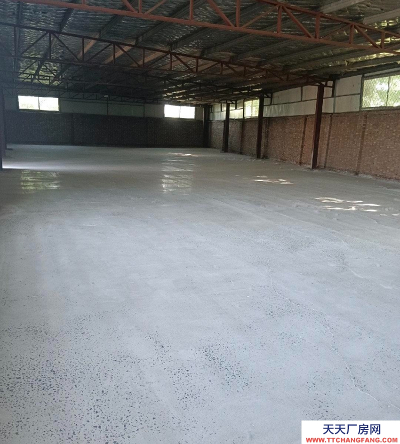 沧州 青县(出租) 新发酵灌制品厂房，地面固化，水电齐全，