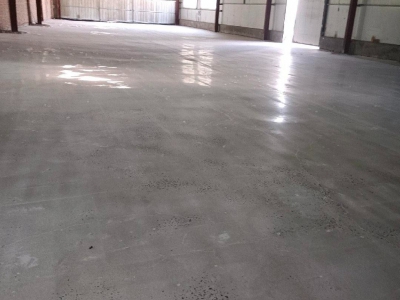 沧州 青县(出租) 新发酵灌制品厂房，地面固化，水电齐全，图3