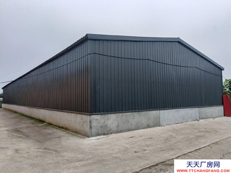 沧州 青县(出租) 新建食醋厂房出租出售分租