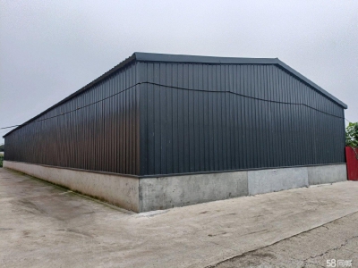 沧州 青县(出租) 新建食醋厂房出租出售分租图3