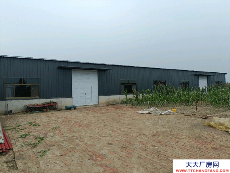 沧州 青县(出租) 新建食醋厂房出租出售分租