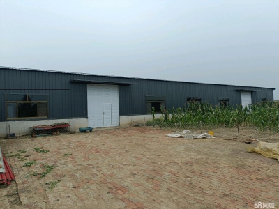 沧州 青县(出租) 新建食醋厂房出租出售分租图4