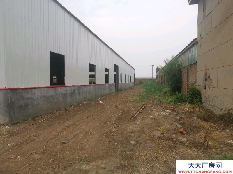 沧州 青县大米厂房(出售) 坐落在工业园区，交通便利