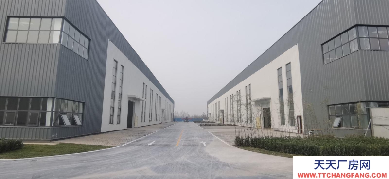 沧州 河间(出售) 出售河间开发区50年产权一户一证纯一层可改造钢结构腊肉制品厂房