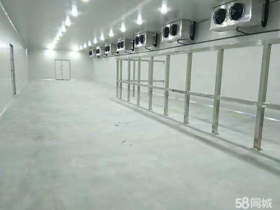沧州 河间(出租) 储存牛羊肉的冷库，新建一次没用过，手续齐全，对外出租图2