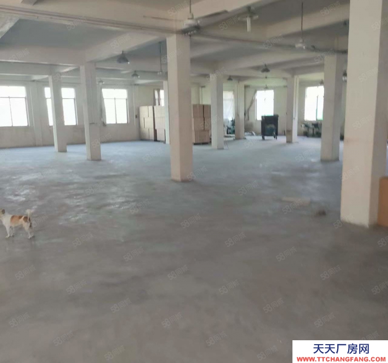 (出租) 潮州潮安彩塘金一村独院一楼厂房900平方米可做生产经营