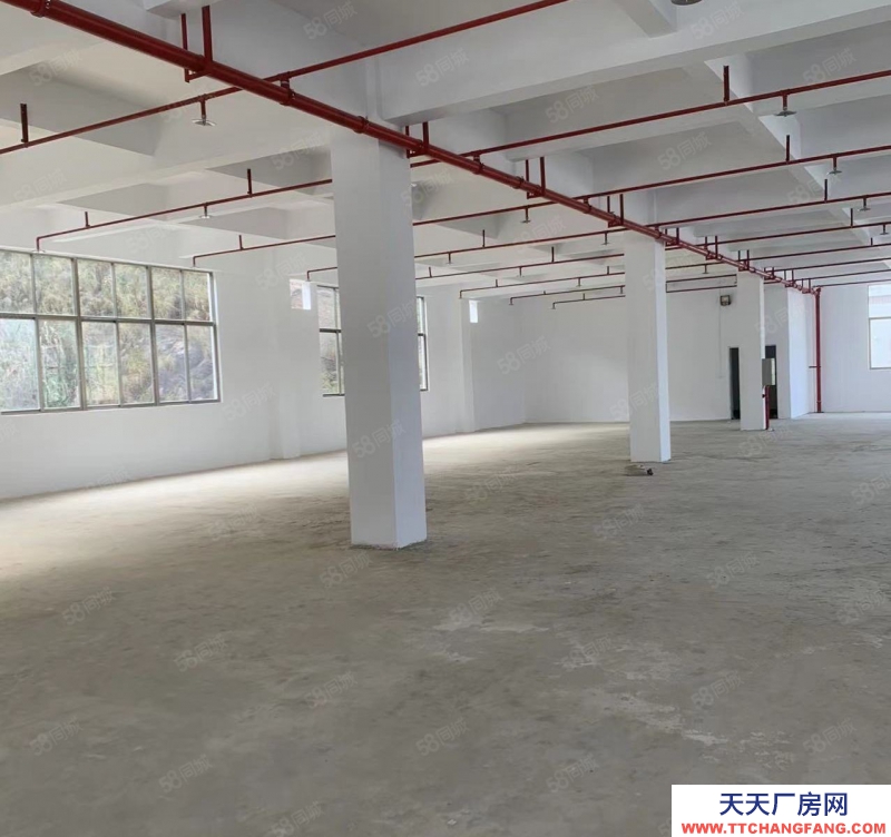 (出租) 潮州潮安小龙坑出租全新楼上楼下总1800平方厂房可做休闲食品