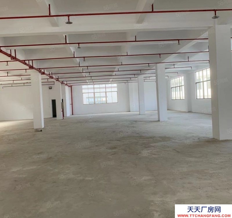 (出租) 潮州潮安小龙坑出租全新楼上楼下总1800平方厂房可做休闲食品