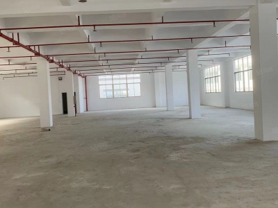 (出租) 潮州潮安小龙坑出租全新楼上楼下总1800平方厂房可做休闲食品图2