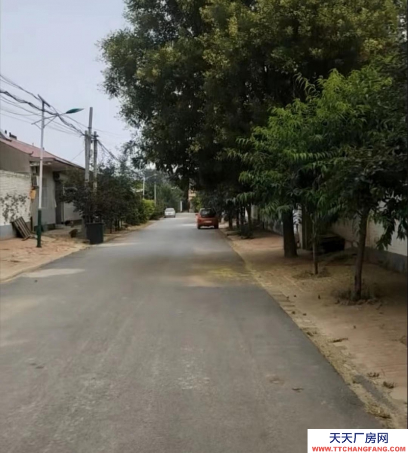 沧州 东光 (出租) 出租厂房东光县秦村镇张彦恒村建液体乳厂房