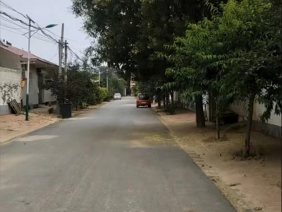 沧州 东光 (出租) 出租厂房东光县秦村镇张彦恒村建液体乳厂房图2