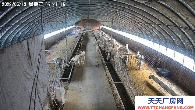 (出售) 可养殖，多种经营，环境好