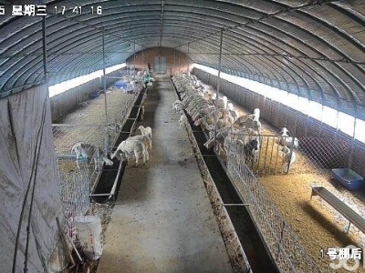 (出售) 可养殖，多种经营，环境好图2