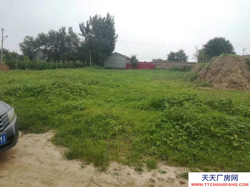 沧州 沧县(出售) 沧州东高速口一公里，建设用地3000平米，有正规手续。