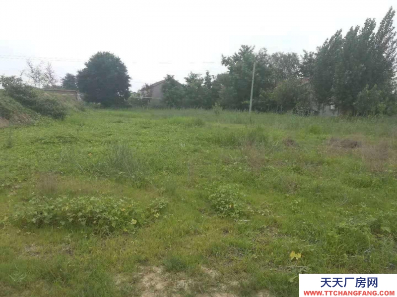 沧州 沧县(出售) 沧州东高速口一公里，建设用地3000平米，有正规手续。