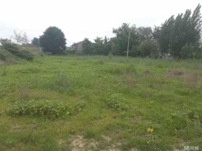 沧州 沧县(出售) 沧州东高速口一公里，建设用地3000平米，有正规手续。图3