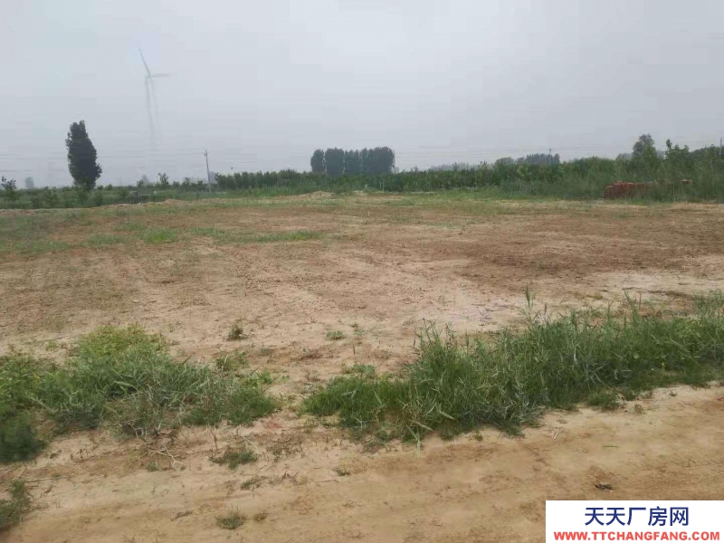 沧州 沧县(出售) 沧州东高速口一公里，建设用地3000平米，有正规手续。
