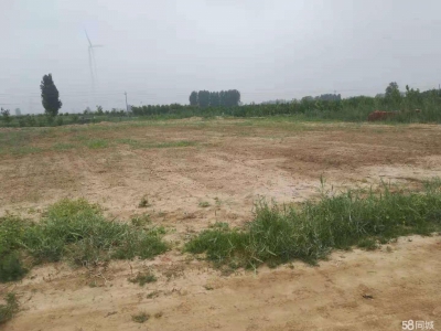 沧州 沧县(出售) 沧州东高速口一公里，建设用地3000平米，有正规手续。图1