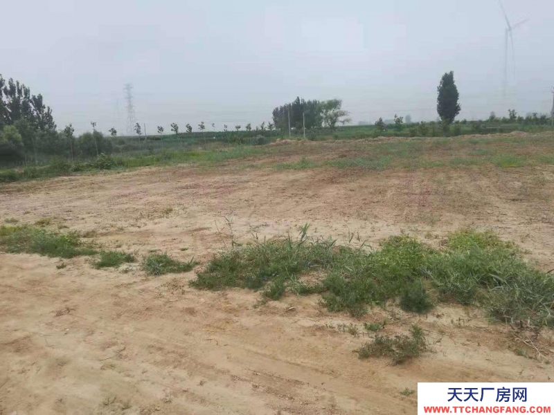 沧州 沧县(出售) 沧州东高速口一公里，建设用地3000平米，有正规手续。