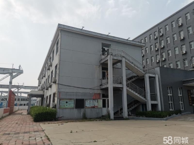 沧州 沧县(出售) 沧州沧县开曙街10号63871平食糖制品厂房出售图2