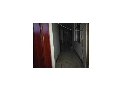 (出租) 驻马店上蔡县蔡都办事处吴桥村委 仓库 1300平米图1