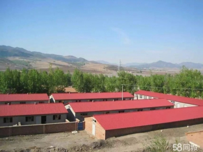 (出租) 赤峰喀喇沁旗标准化大型养殖场出租图1