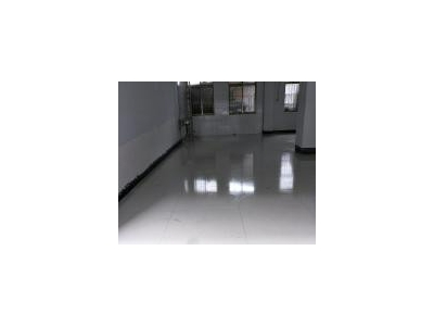(出租) 驻马店平舆后面有独立小院。图3
